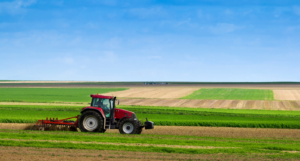 rendimiento agrícola