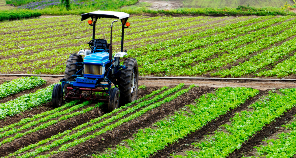 industria agrícola