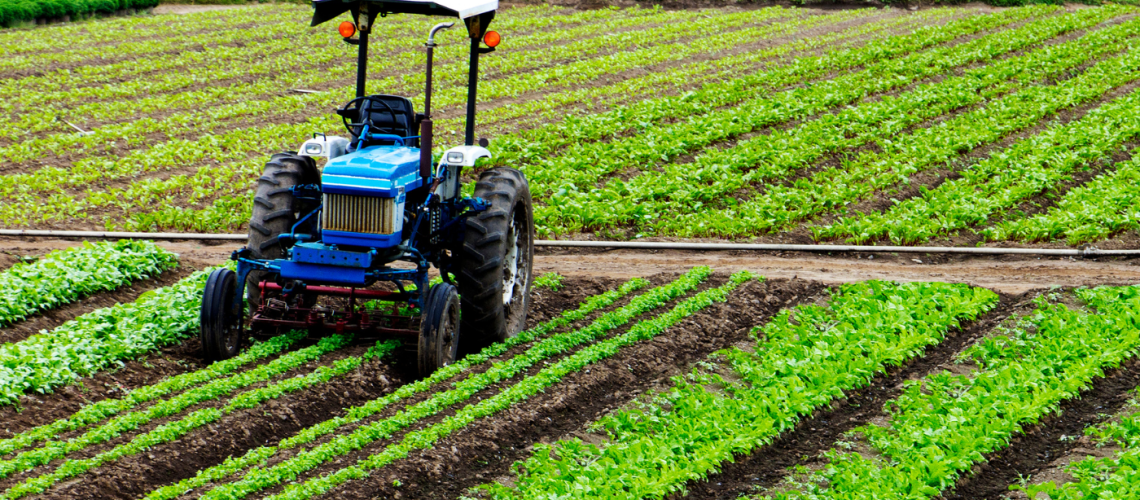 industria agrícola